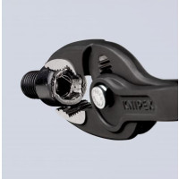 app.product-showproduct-thumb